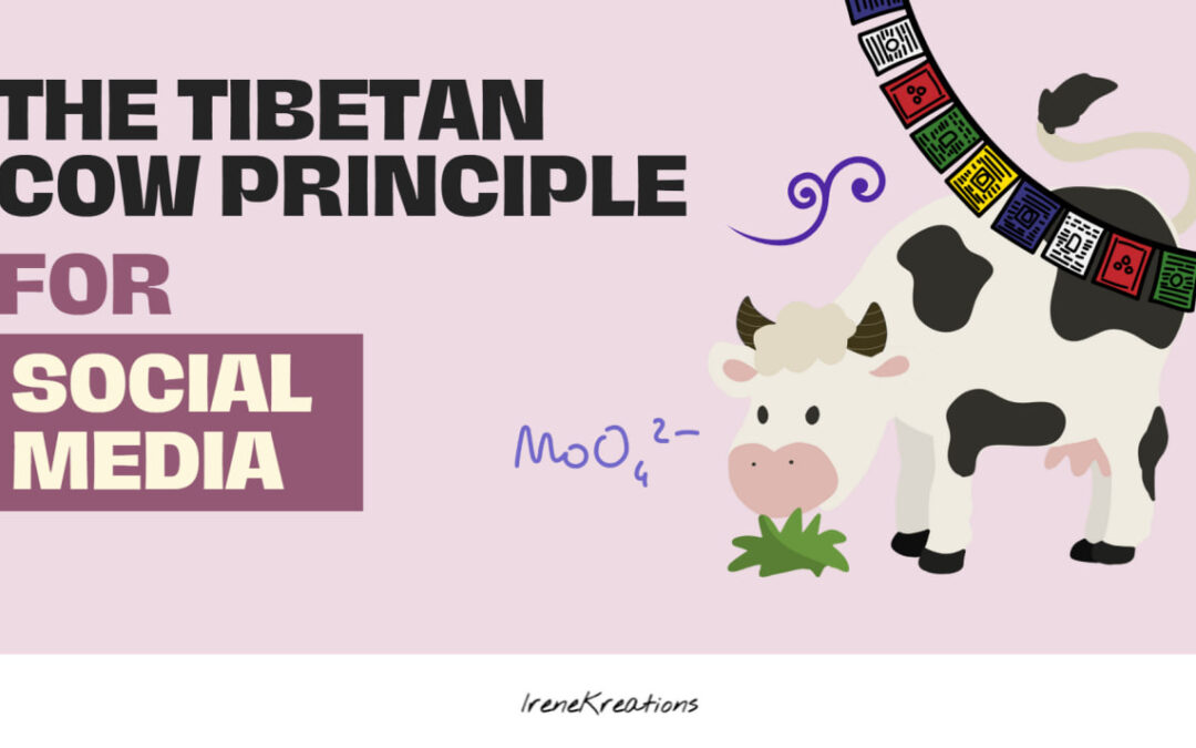 The Tibetan Cow Principle: How Patience Builds Sustainable Social Media Success
